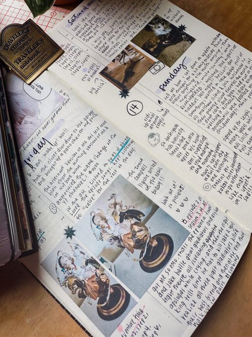 IMG_0867-768x1024-1.jpg|405x540