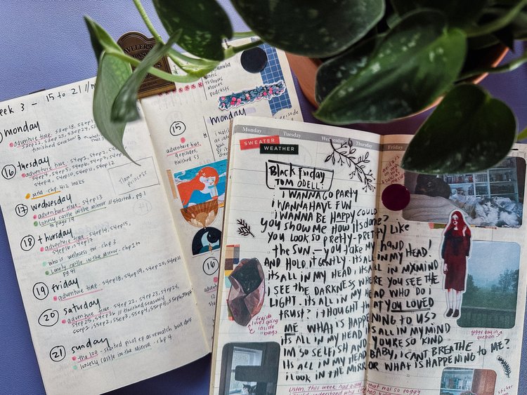 IMG_1010.jpeg|415x312